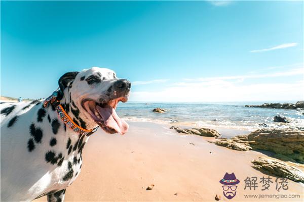 夢見自己身體不好 第1张 夢見自己身體不好 第1张