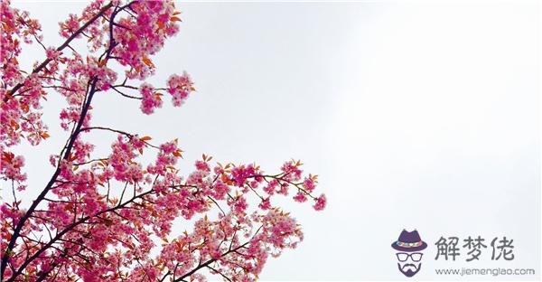 夢到把被子剪成兩半 第1张