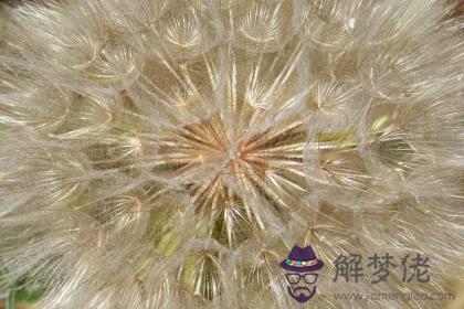 甲辰乙巳覆燈火詳解 64/65屬龍屬蛇覆燈火命運 第1张