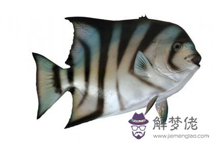 泉中水缺火 泉中水命五行缺火怎麽辦 第1张
