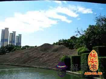 八字缺木如何補救八字缺木需要去東邊買房補救嗎 第1张 八字缺木如何補救八字缺木需要去東邊買房補救嗎 第1张