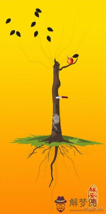 分享幾個婚姻感情故事并簡單講解 第1张