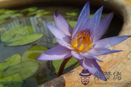 壬子日生于未月解析 壬子日生于未月命運好嗎 第1张 壬子日生于未月解析 壬子日生于未月命運好嗎 第1张