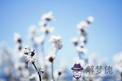 金箔金和平地木配嗎 金箔金和平地木婚姻如何？ 第1张