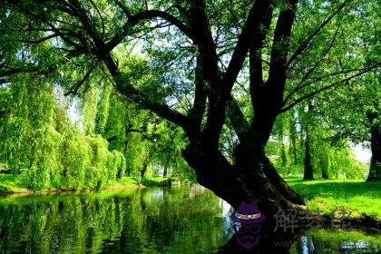 澗下水缺火 澗下水命五行缺火怎麽辦 第1张