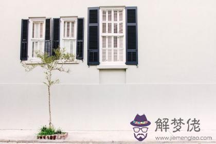 壬寅日生于寅月解析 壬寅日生于寅月命運好嗎 第1张