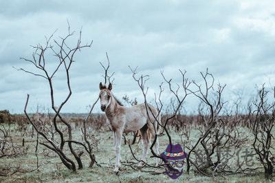 劍鋒金和天河水配嗎 劍鋒金和天河水婚姻如何? 第1张 劍鋒金和天河水配嗎 劍鋒金和天河水婚姻如何? 第1张