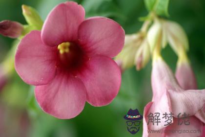 天河水命開什麽顏色的車 天河水適合什麽顏色的車 第1张