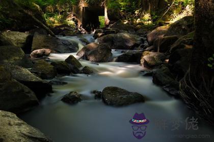 甲午日與庚辰日配嗎 甲午日柱與庚辰日柱是否適合 第1张