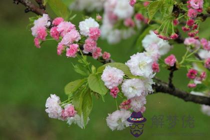 天河水幸運數字 天河水的吉祥數字 第1张