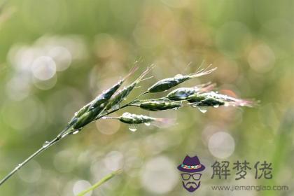 爐中火和山下火配嗎 爐中火和山下火婚姻如何？ 第1张