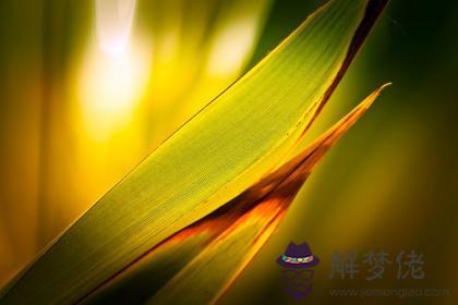 丁酉日生于申月解析 丁酉日生于申月命運好嗎 第1张