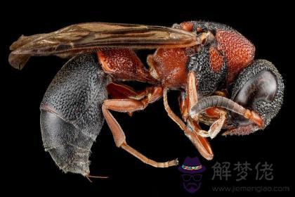天河水和壁上土配嗎 天河水和壁上土婚姻如何？ 第1张