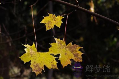 丙子日與甲寅日配嗎 丙子日柱與甲寅日柱是否適合 第1张