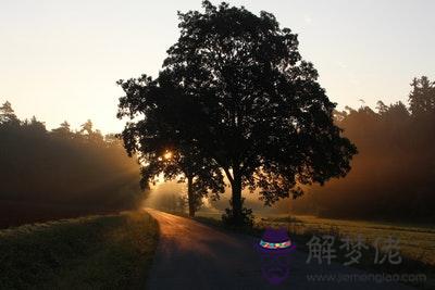 乙酉日生于未月解析 乙酉日生于未月命運好嗎 第1张