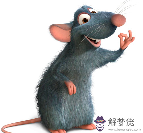 分析屬鼠的五行 第1张