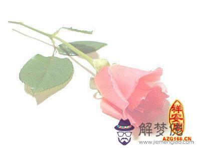八字看身材肥瘦 第1张