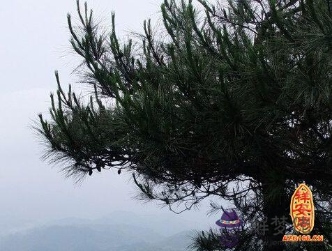 三才配置吉兇表 第1张