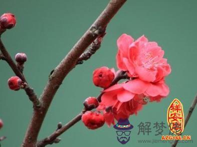 八字看家庭的相關信息 第1张