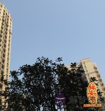 生辰八字看樓層有多少 第1张