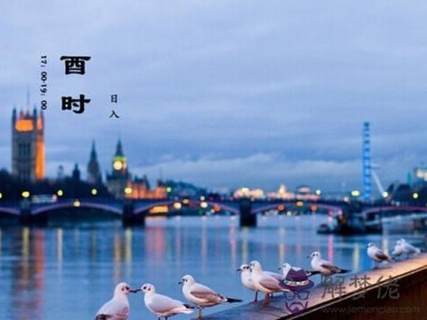 酉時出生的人算命 第1张