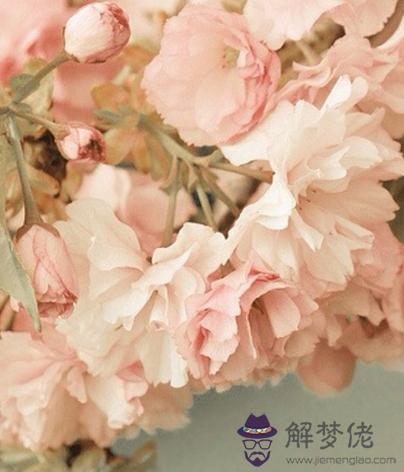 子時出生的女孩命運解析 第1张 子時出生的女孩命運解析 第1张