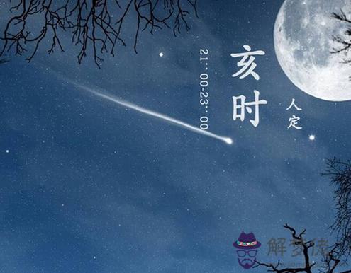 亥時出生的人命運分析 第1张