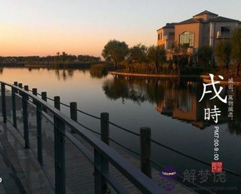 戌時出生的人命運分析 第1张