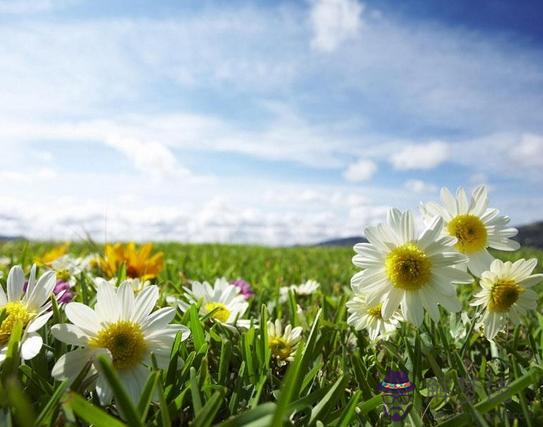 申時生人命運申時生人命運如何 第1张