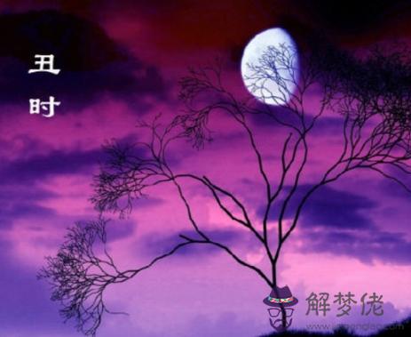 丑時出生的人怎麽樣 第1张 丑時出生的人怎麽樣 第1张