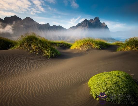 什麽是酉時酉時生人命運 第1张 什麽是酉時酉時生人命運 第1张