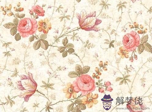己酉日柱人的命運 第1张