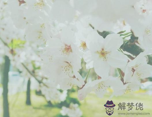 乙酉日柱人的命運 第1张