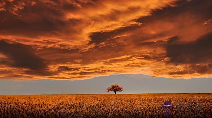 八字看哪些人有名利雙收的命 第1张