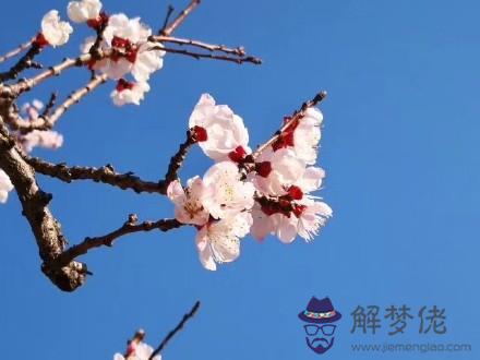 八字算命基礎——五行與十二長生的關系 第1张
