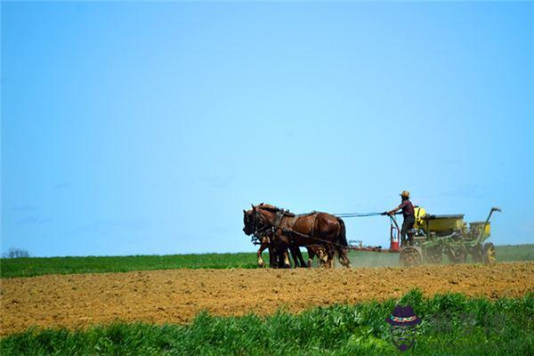 發夢夢到犁地是什麼意思