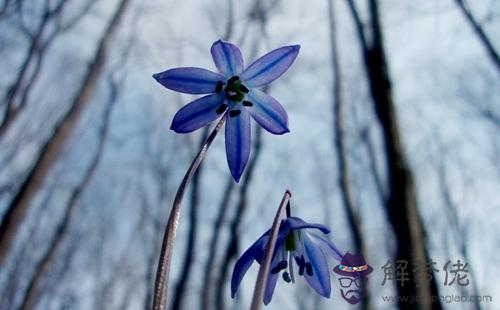 夢什麼預示升官發財