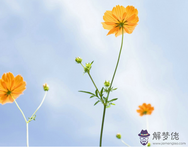 女人夢見被追拼命逃跑是兇兆嗎?有什麼寓意?