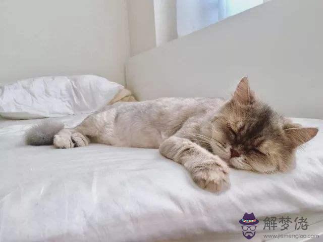 做夢夢見自己在做夢,夢中夢是什麼意思?