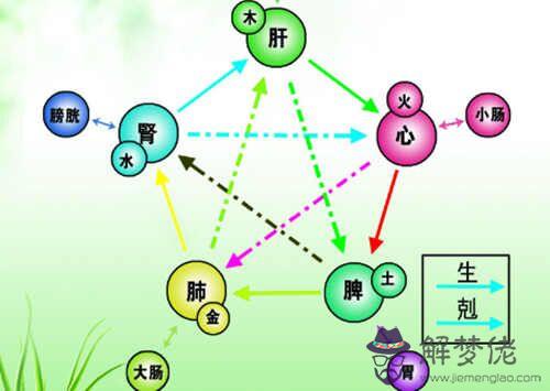 五行生克關系解說