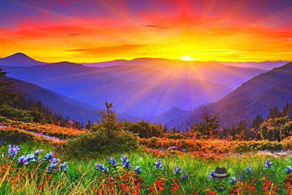 八字丙火日的人性格特征