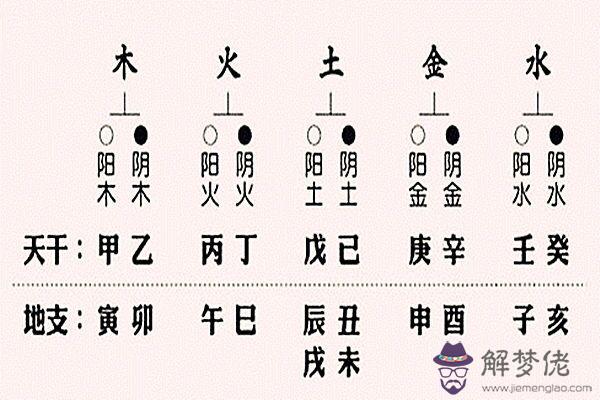八字入門之干支陰陽關系