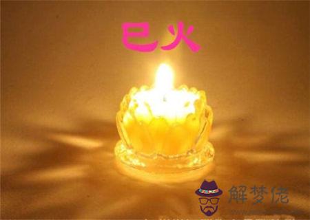十二地支之巳火