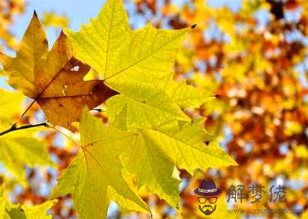 十二地支申金與其他地支的關系