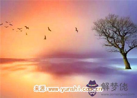 十二地支藏干詳解