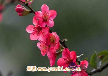 八字命理之女命歌訣論