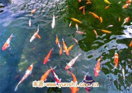 八字命理之女命歌訣論