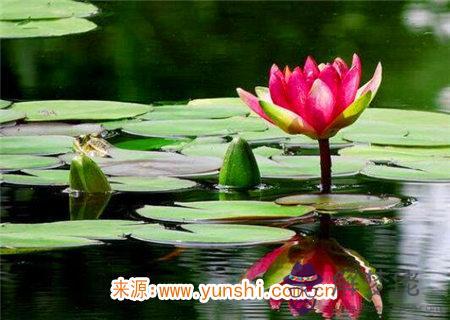 金水傷官喜見官是何意 金水傷官喜見官是何意