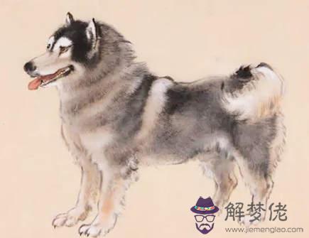 屬狗人思念一個人有什么表現 屬狗人思念一個人有什么表現