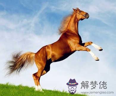 讓屬馬女沒有安全感的事情 讓屬馬女沒有安全感的事情